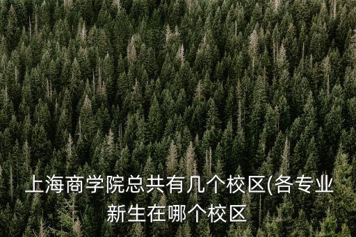 上海建設(shè)國(guó)際貿(mào)易中心