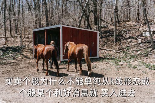買(mǎi)賣(mài)個(gè)股為什么不能單純從k線(xiàn)形態(tài)或個(gè)股某個(gè)利好消息就 買(mǎi)入進(jìn)去