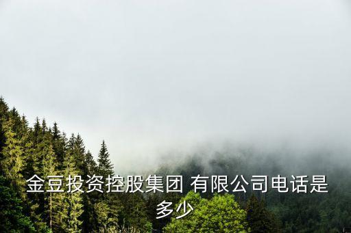  金豆投資控股集團(tuán) 有限公司電話(huà)是多少