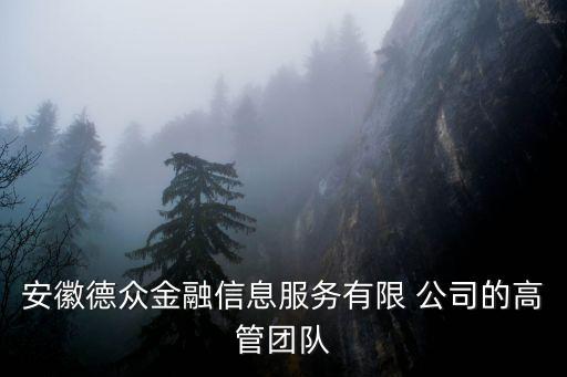 安徽德眾金融信息服務(wù)有限 公司的高管團(tuán)隊
