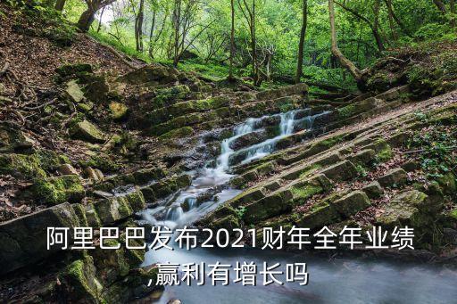 阿里巴巴上市對中國動向貢獻(xiàn)多少利潤