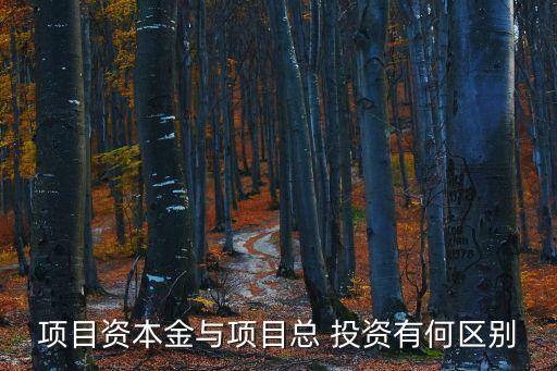 流動資金占總投資比例,項目建設流動資金占項目總投資比例