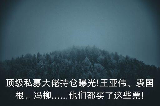 頂級(jí)私募大佬持倉曝光!王亞偉、裘國(guó)根、馮柳……他們都買了這些票!