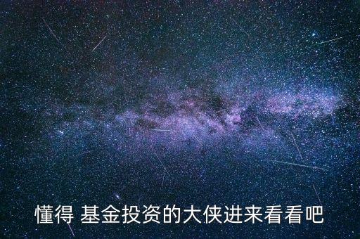 懂得 基金投資的大俠進(jìn)來(lái)看看吧