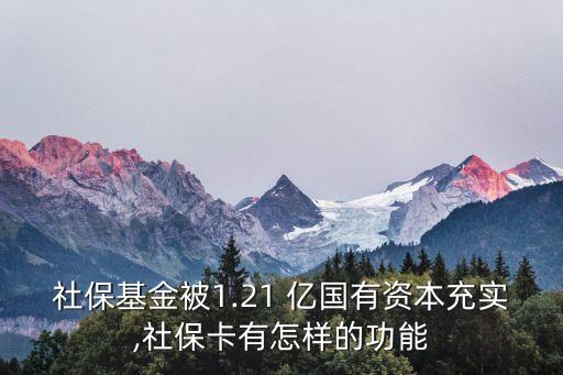 社?；鸨?.21 億國有資本充實,社?？ㄓ性鯓拥墓δ? class=