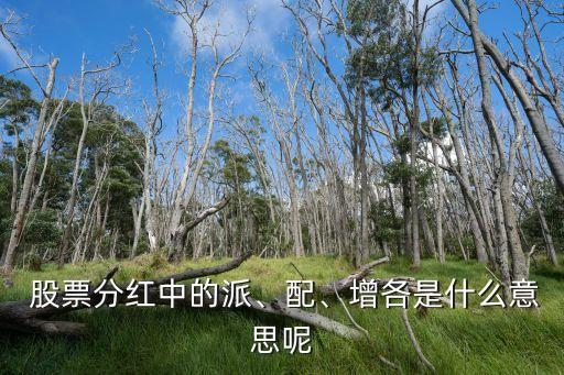  股票分紅中的派、配、增各是什么意思呢