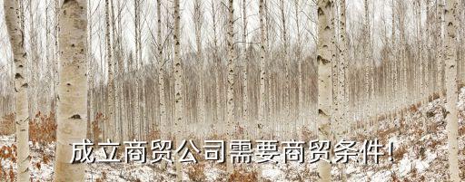 北京成易申貿易有限公司工章