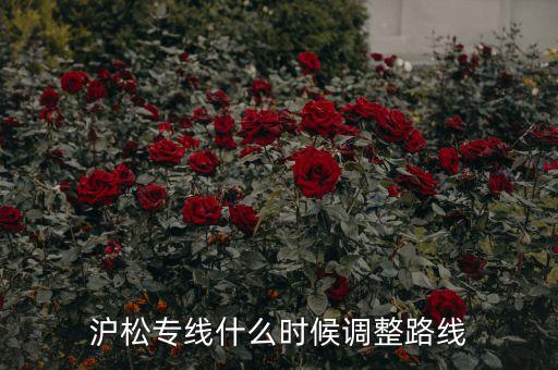 滬松專(zhuān)線什么時(shí)候調(diào)整路線