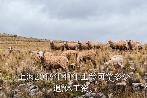  上海2016年41年工齡可拿多少退,休工資、