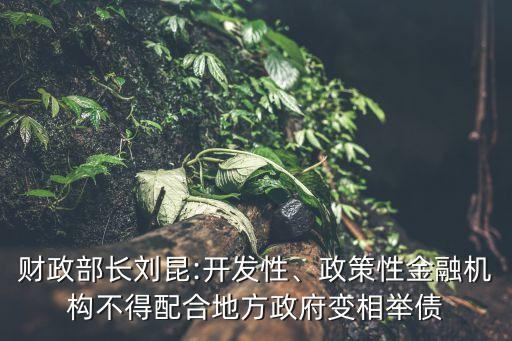 財政部長劉昆:開發(fā)性、政策性金融機構(gòu)不得配合地方政府變相舉債