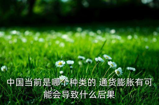 中國當(dāng)前是哪個(gè)種類的 通貨膨脹有可能會導(dǎo)致什么后果