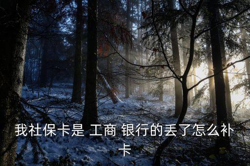 我社?？ㄊ?工商 銀行的丟了怎么補卡