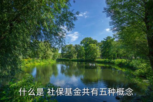 什么是 社?；鸸灿形宸N概念