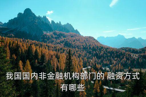 我國(guó)國(guó)內(nèi)非金融機(jī)構(gòu)部門(mén)的 融資方式有哪些