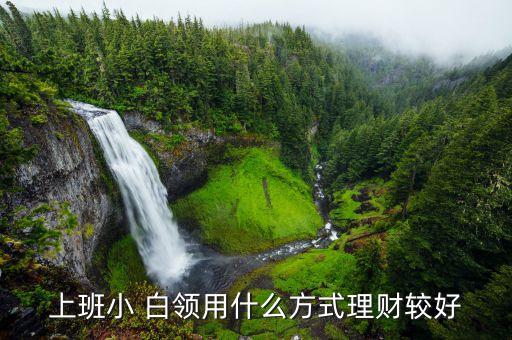 白領投資個人基金產(chǎn)品,個人養(yǎng)老金可投資的基金產(chǎn)品為