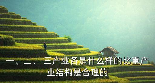 一、二、 三產(chǎn)業(yè)各是什么樣的比重產(chǎn)業(yè)結(jié)構(gòu)是合理的