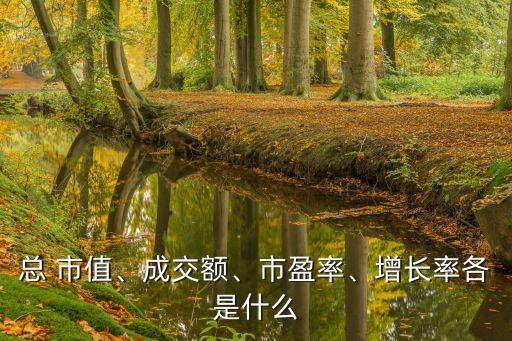 總 市值、成交額、市盈率、增長率各是什么