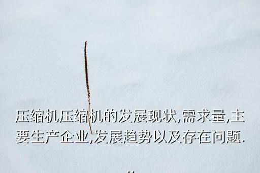 壓縮機壓縮機的發(fā)展現(xiàn)狀,需求量,主要生產企業(yè),發(fā)展趨勢以及存在問題...