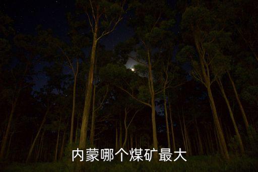 內(nèi)蒙哪個(gè)煤礦最大