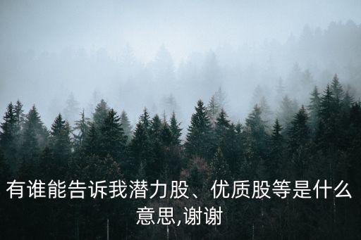 有誰能告訴我潛力股、優(yōu)質(zhì)股等是什么意思,謝謝