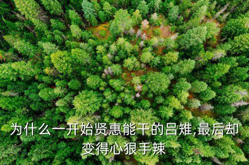 為什么一開(kāi)始賢惠能干的呂雉,最后卻變得心狠手辣