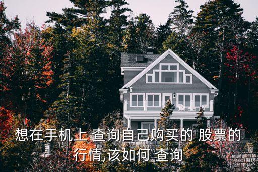 想在手機(jī)上 查詢自己購(gòu)買的 股票的行情,該如何 查詢