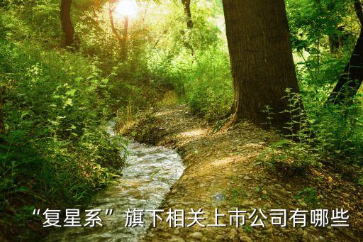 “復星系”旗下相關上市公司有哪些