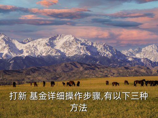 新申購(gòu)的基金,申購(gòu)基金一般幾天確認(rèn)