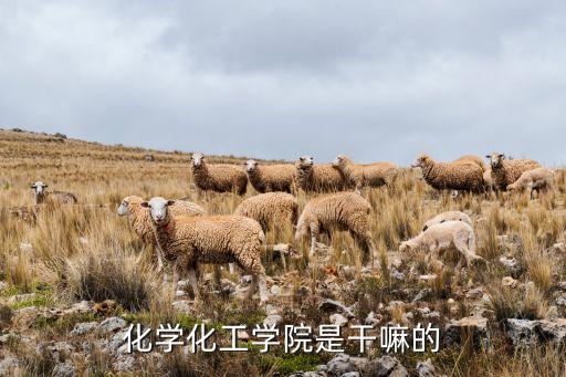 化學化工學院是干嘛的