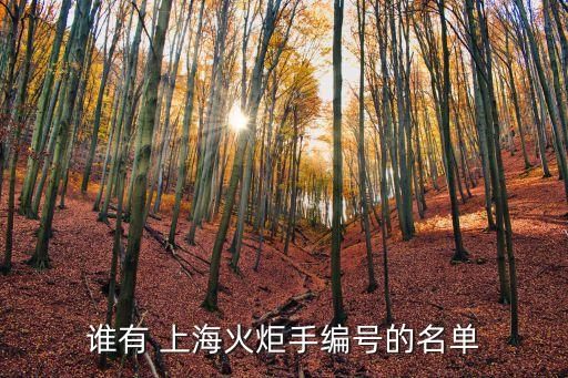 誰有 上海火炬手編號(hào)的名單