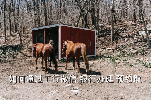 如何通過工行微信 銀行辦理 預(yù)約取號(hào)