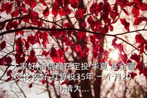 大家好,請問現在定投 華夏 基金哪支比較好.打算投35年,一個月200.請大...