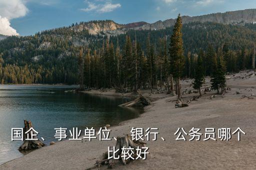 國(guó)企、事業(yè)單位、 銀行、公務(wù)員哪個(gè)比較好