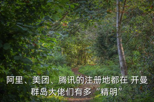 阿里、美團(tuán)、騰訊的注冊(cè)地都在 開(kāi)曼群島大佬們有多“精明”
