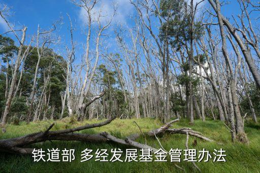 鐵道部 多經發(fā)展基金管理辦法