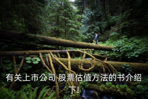有關上市公司 股票估值方法的書介紹下!