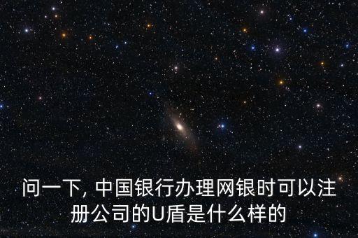 問一下, 中國銀行辦理網(wǎng)銀時(shí)可以注冊(cè)公司的U盾是什么樣的