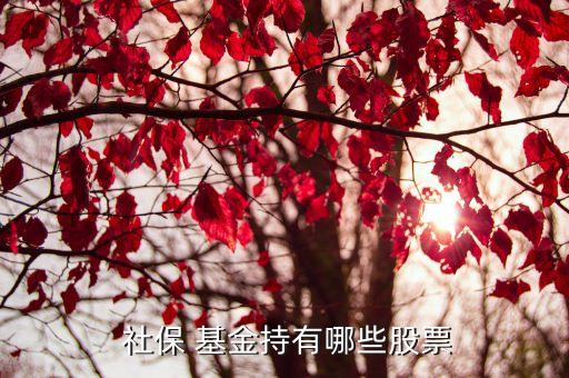 社保基金四一三組合,全國社?；鹚囊蝗M合最新持股明細(xì)