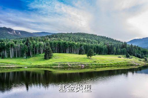  基金類(lèi)型