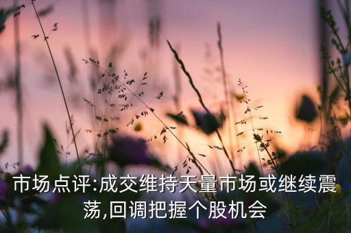 市場點評:成交維持天量市場或繼續(xù)震蕩,回調(diào)把握個股機(jī)會