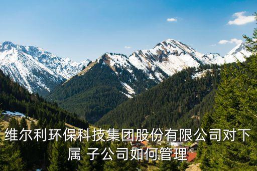 維爾利環(huán)?？萍技瘓F(tuán)股份有限公司對(duì)下屬 子公司如何管理