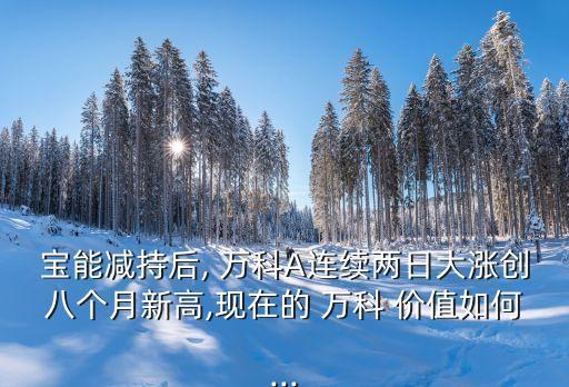 2014萬(wàn)科a投資價(jià)值分析