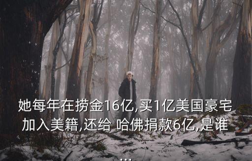 她每年在撈金16億,買1億美國(guó)豪宅加入美籍,還給 哈佛捐款6億,是誰(shuí)...