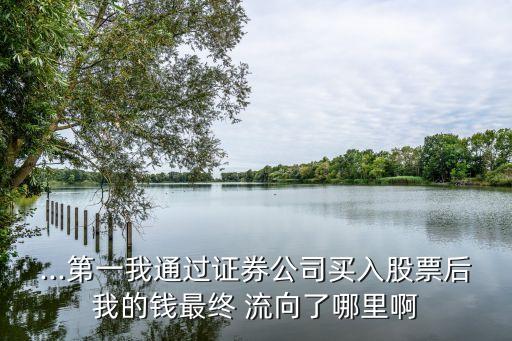 ...第一我通過(guò)證券公司買(mǎi)入股票后我的錢(qián)最終 流向了哪里啊