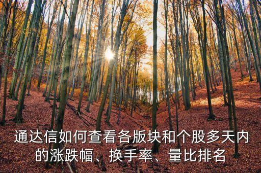  通達信如何查看各版塊和個股多天內(nèi)的漲跌幅、換手率、量比排名