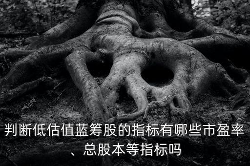 判斷低估值藍(lán)籌股的指標(biāo)有哪些市盈率、總股本等指標(biāo)嗎
