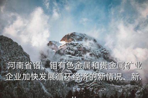  河南省鋁、鉬有色金屬和貴金屬礦業(yè)企業(yè)加快發(fā)展循環(huán)經(jīng)濟(jì)的新情況、新...