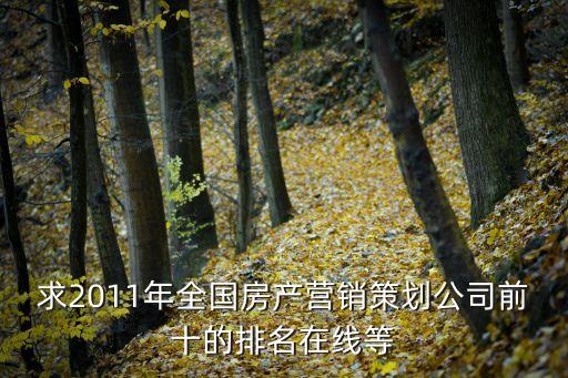 求2011年全國(guó)房產(chǎn)營(yíng)銷(xiāo)策劃公司前十的排名在線等