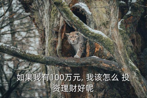 如果我有100萬元, 我該怎么 投資理財好呢