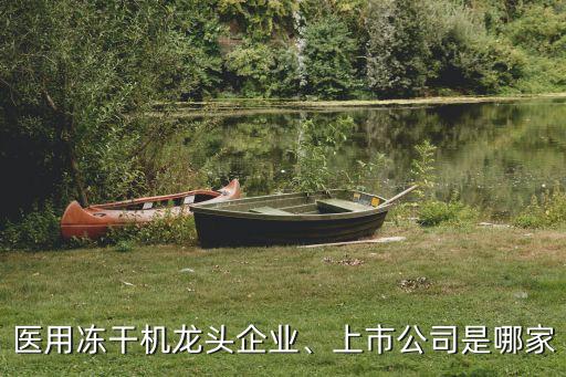 醫(yī)用凍干機(jī)龍頭企業(yè)、上市公司是哪家